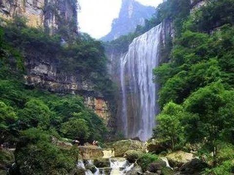 漂亮鹦鹉救援